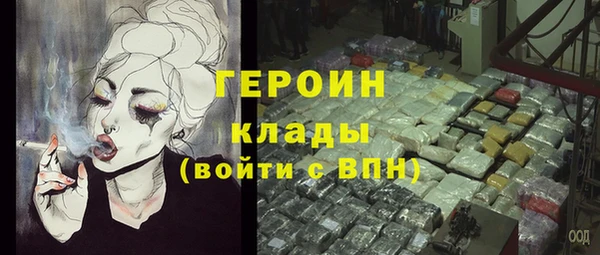 хмурый Алексин