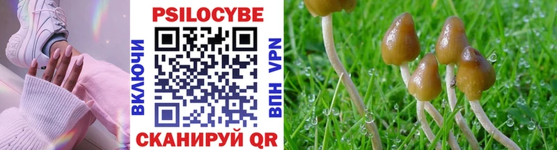 Псилоцибиновые грибы Psilocybe  KRAKEN как войти  Козловка 