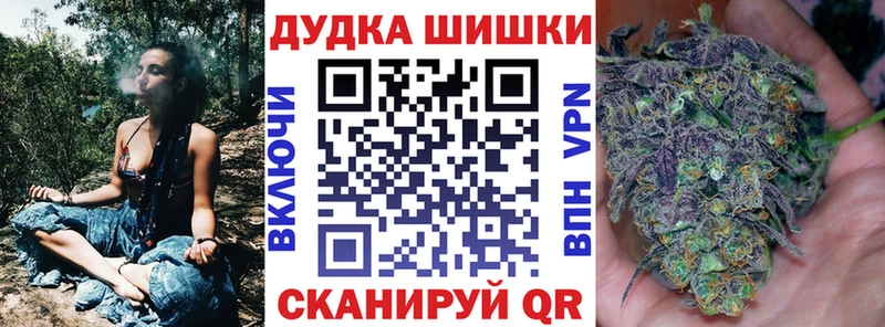 Бошки Шишки сатива  где купить наркотик  Козловка 